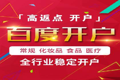 百度竞价排名实战：某电商平台的成功之路